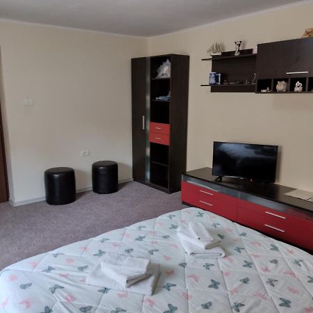 Mario'S Cozy Apartment Rîşnov Kültér fotó