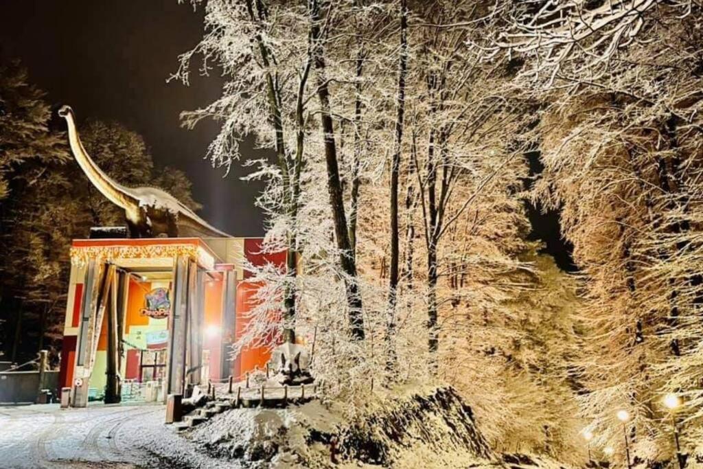 Mario'S Cozy Apartment Rîşnov Kültér fotó